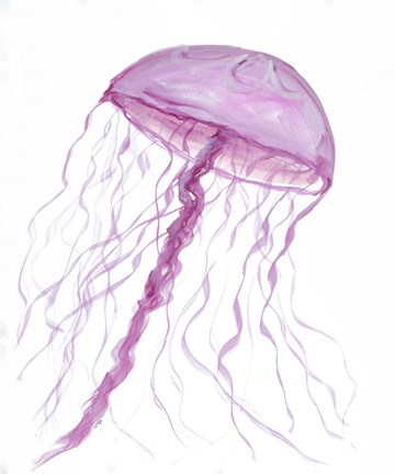 Framed Jellyfish II Print