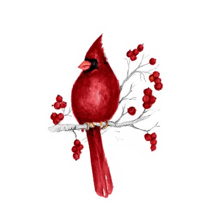 Framed Winter Cardinal in Red II Print