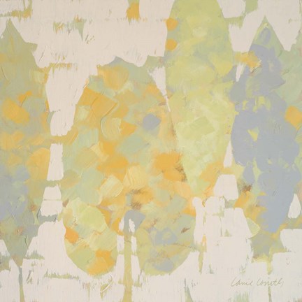 Framed Sunlit Marsh II Print