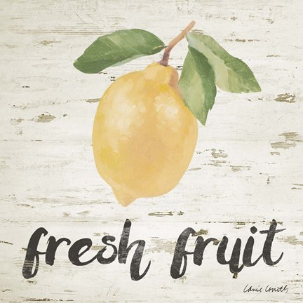 Framed Fresh Fruit Print