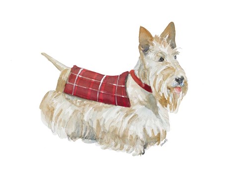 Framed Wheaten Scotty Print