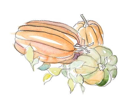 Framed Harvest Pumpkin and Squash I Print