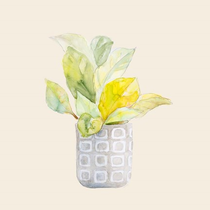 Framed Decorative Potted Plant II Print