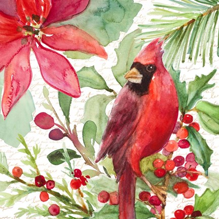 Framed Poinsettia and Cardinal I Print