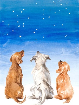 Framed Three Dogs Star Gazing Print