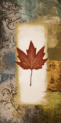 Framed Single Leaf III Print