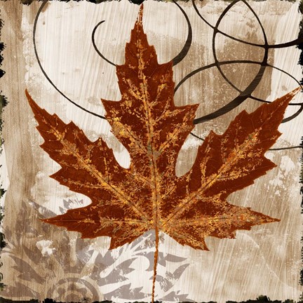 Framed Leaf of the Day II Print