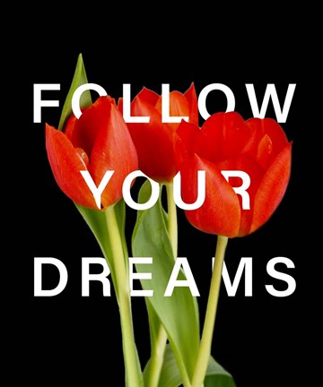 Framed Follow Your Dreams Print