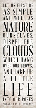 Framed Well as Nature Print