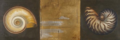 Framed Seashells I Print