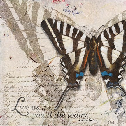 Framed Living your Dreams II Print