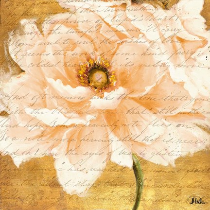 Framed Beautiful Cream Peonies Script I Print