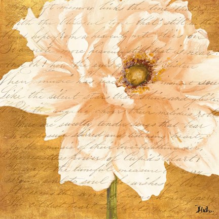 Framed Beautiful Cream Peonies Script II Print