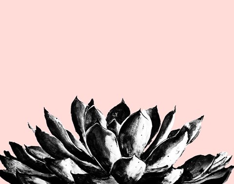 Framed Agave on Blush Print