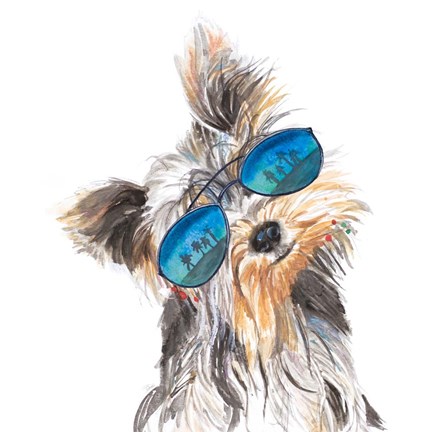 Framed Yorkie with Shades Print