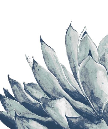 Framed Blue Agave on White I Print