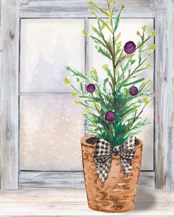 Framed Christmas Fir on Window Print