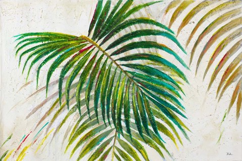 Framed Palmas di Viento Print