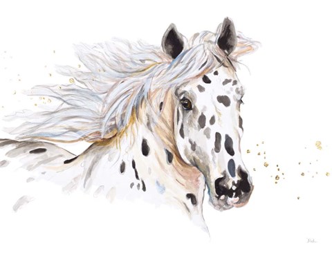 Framed Appaloosa Print