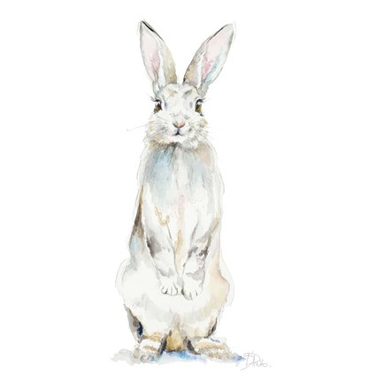 Framed Cute Rabbit Print
