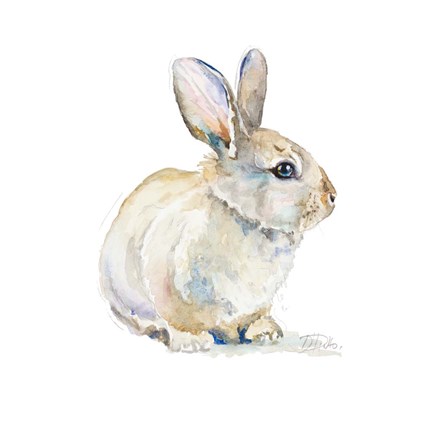 Framed Baby Rabbit Print