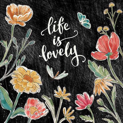 Framed Boho Field IV Black Print