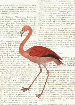 Framed Flying Flamingo No Balloons Print