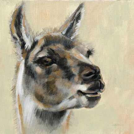 Framed Llama Portrait Print