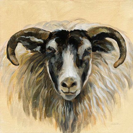 Framed Highland Animal Ram Print