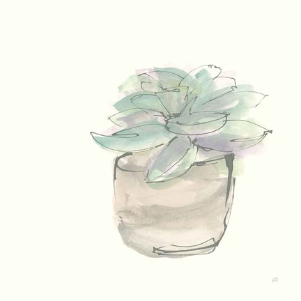 Framed Succulent IV Print