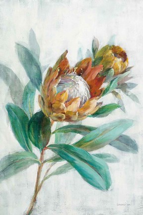 Framed Tropical Protea Print