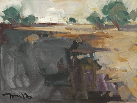 Framed Abstract Landscape Print