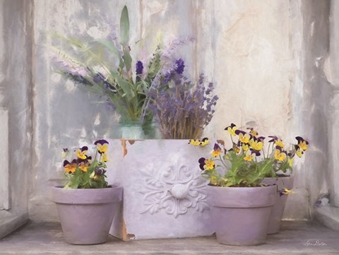 Framed Pansy Still Life II Print