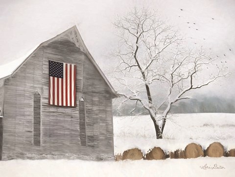 Framed Old Glory Print