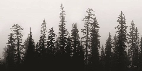 Framed Rocky&#39;s Trees Print