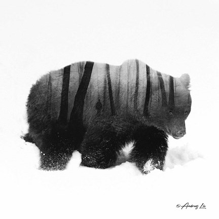 Framed Black &amp; White Bear Print