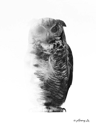 Framed Black &amp; White Owl Print