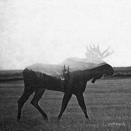 Framed Black &amp; White Moose Print