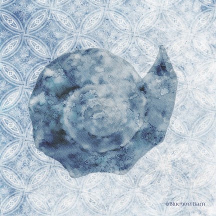 Framed Seashell II Print