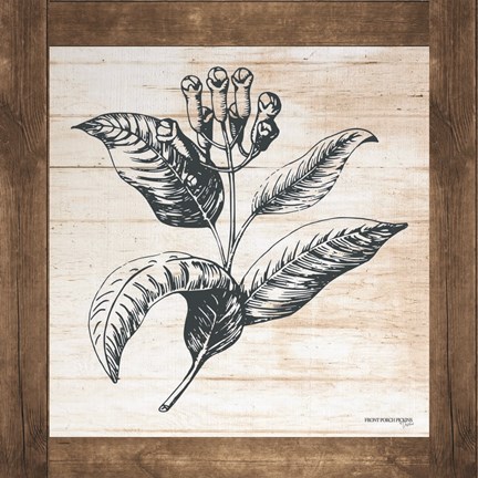 Framed Petals on Planks - Allspice Print
