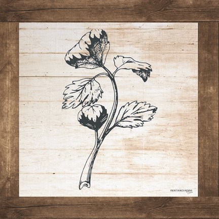 Framed Petals on Planks - Celery Print