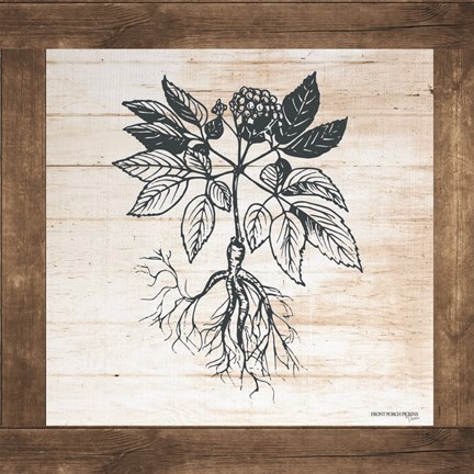 Framed Petals on Planks - Ginseng Print