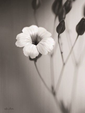 Framed Blossoming Soul Print