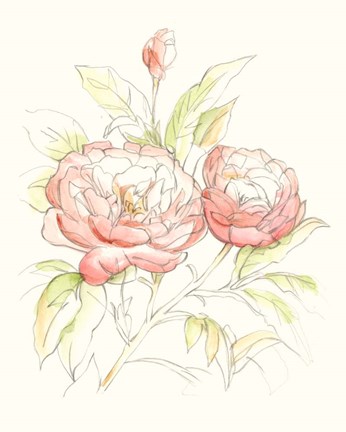 Framed Watercolor Floral Variety II Print