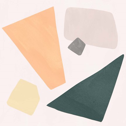 Framed Curio III Print