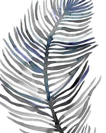 Framed Blue Feathered Palm III Print