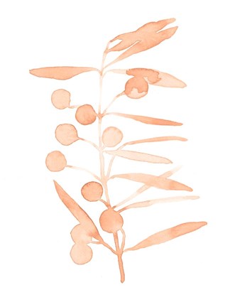 Framed Blush Olive Branch II Print
