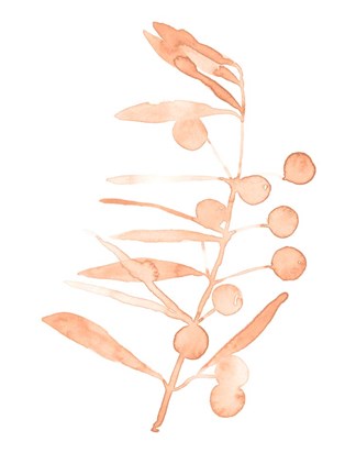 Framed Blush Olive Branch III Print
