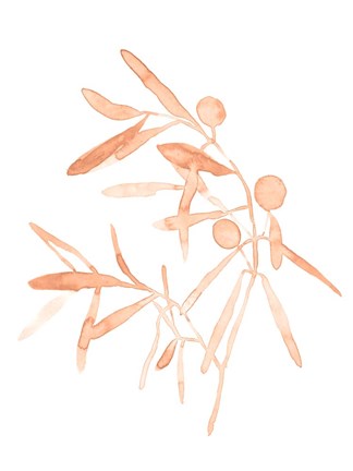 Framed Blush Olive Branch IV Print
