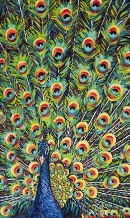 Framed Lavish Peacock I Print